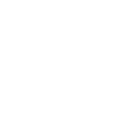 VIKI Logo